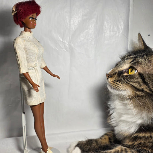 Cha....cha...cha...changes...Doll Update